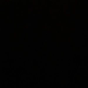 Meet your Posher, Darlene